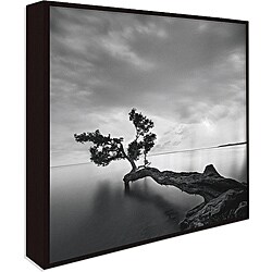 Moises Levey 'Water Tree' Giclee Canvas Art