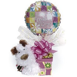 Happy Mothers Day Sammie Gift Basket
