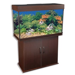 Delta Queen 29-gallon Aquarium and Stand