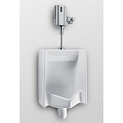 Toto White ADA Compliant Urinal