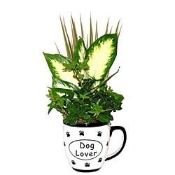 Love My Dog Five-inch Ceramic Live Tropical Foliage Planter

