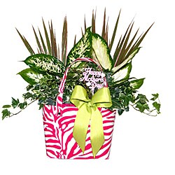 Vitality Hand Bag Pink Tropical Planter