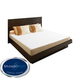 SplendoRest Avena 8-inch Queen-size Memory Foam Mattress-in-a-Box