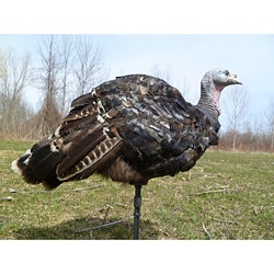 A-Way Turkey Decoy Cover