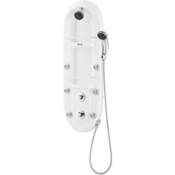 Aston 43-inch Acrylic 6-jet Shower Panel