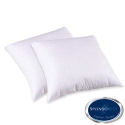 Splendorest 200 Thread Count Cotton Euro Sham Stuffer Pillows (Set of 2)