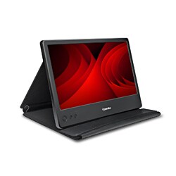 Toshiba PA3923U-2LC3 14" LCD Monitor - 16:9 - 16 ms