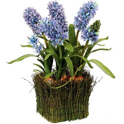 20-inch Hyacinths in Twig Basket
