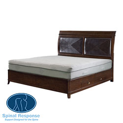 Spinal Response Aloe 11-inch King-size Smooth Top Memory Foam Mattress 