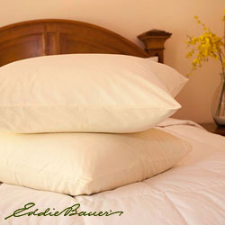 Eddie Bauer Standard-size Goose Feather Pillow