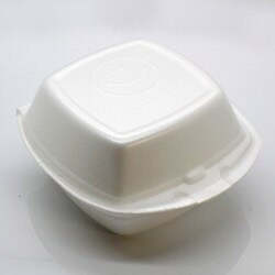 Hinged 5x5-inch Disposable Food Container (Case of 500)