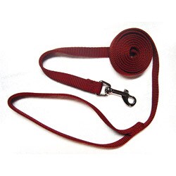 Hamilton 6-foot Red Single Nylon Leash