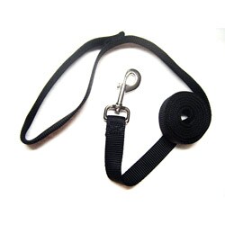 Hamilton Black 1-inch 6-foot Single Nylon Leash