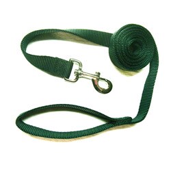 Hamilton Dark Green 1-inch 4-foot Single Nylon Leash