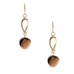 Alexa Starr Goldtone Faceted Bronze Chip Earrings
