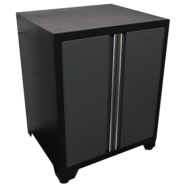 Professional Series 2 Door Base Grey Cabinet