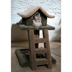 New Cat Condos Wrinkle Tree House