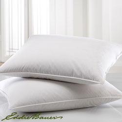 Eddie Bauer 725 Fill Power Goose Down Standard-size Chamber Pillow