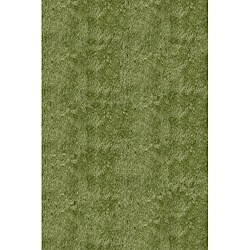 Hand-Tufted Posh Apple Green Shag Rug (2' x 3')