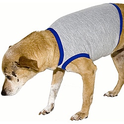 American Apparel Heather Grey/ Royal Blue California Fleece Dog Vest