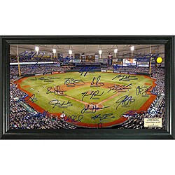 Highland Mint MLB Tampa Bay Rays Signature Framed Field Photo