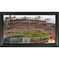 Highland Mint Cincinnati Bengals Signature Gridiron Collection Framed Photo