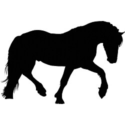 Instant Chalkboard Peel and Stick Horse Sticker