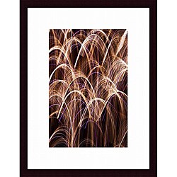 Joe Gemignani 'Bent Weeds 1' Framed Art Print