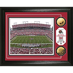 Tampa Bay Buccaneers Raymond James Stadium 24k Gold Coin Photo Mint
