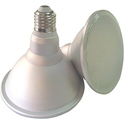 Infinity Green LED Ultra PAR 38 Cool White Light Bulb (Pack of 2)