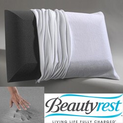 Beautyrest Charcoal Odor Control Memory Foam Pillow