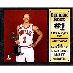 Chicago Bulls Derrick Rose Stat Plaque