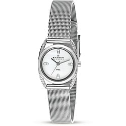 Skagen Women's Stainless Steel Mesh Band Watch