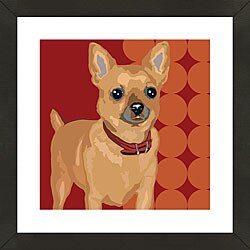 Framed Chihuahua Giclee Print Photo