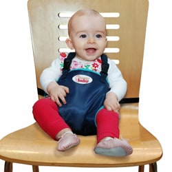 Snazzy Baby My Baby's Own Deluxe Travel Chair