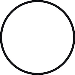 Standard System O-Ring