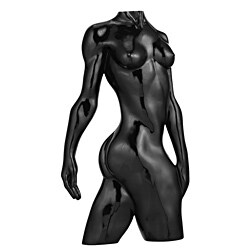 Black Modelo Wall Sculpture