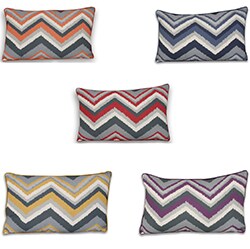 Xenia Chevron Throw Pillow