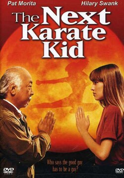 The Next Karate Kid (DVD)