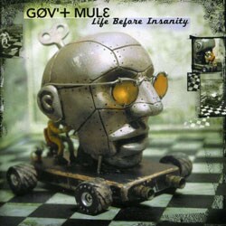Gov`t Mule - Life Before Insanity