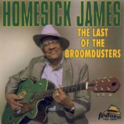 Homesick James - The Last Of The Broomdusters