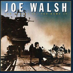 Joe Walsh - You Bought It, You Name It
