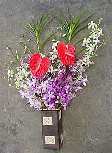 Dendrobium Orchid/ Anthurium Assortment (12 Stems)