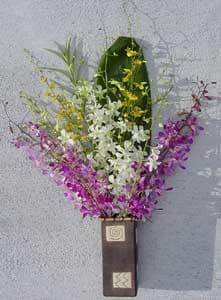 Dendrobium/ Oncidium Orchid Assortment (12 Stems)
