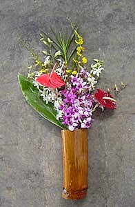 Dendrobium/Oncidium/Anthurium Assortment (12 pcs)