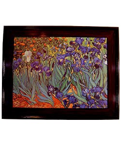 Van Gogh - Iris Garden Framed Canvas