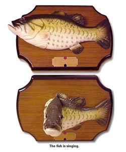 Singing Rainbow Trout