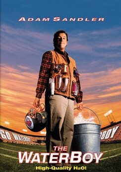 The Waterboy (DVD)