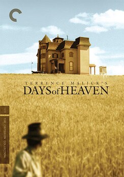 Days of Heaven - Criterion Collection (DVD)