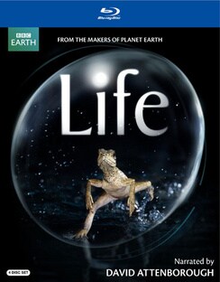 Life (Narrated By David Attenborough) (Blu-ray Disc)